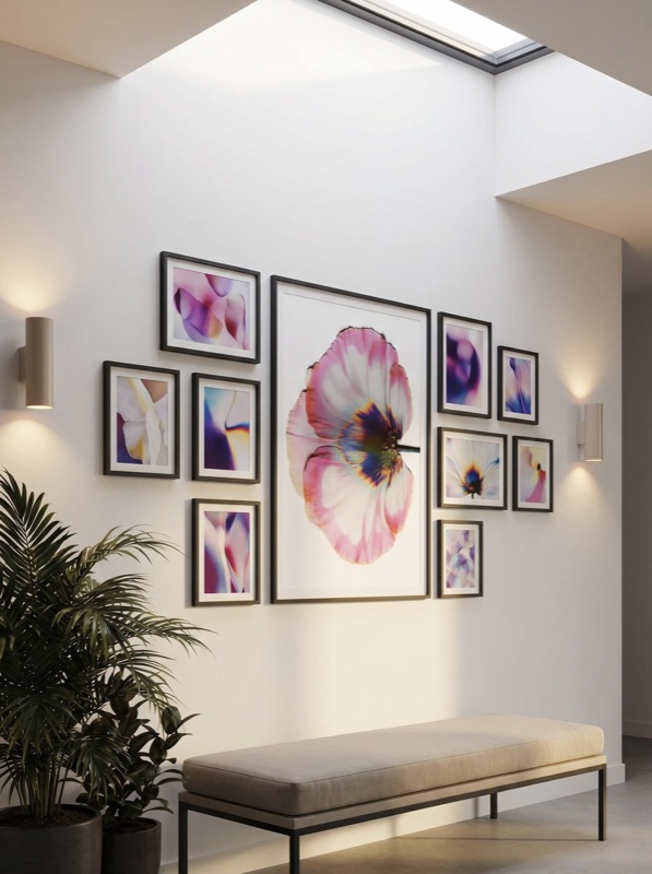 Transience print in a gallery wall